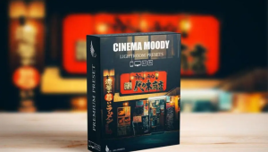 Street Cinematic Dark Moody Lightroom Presets